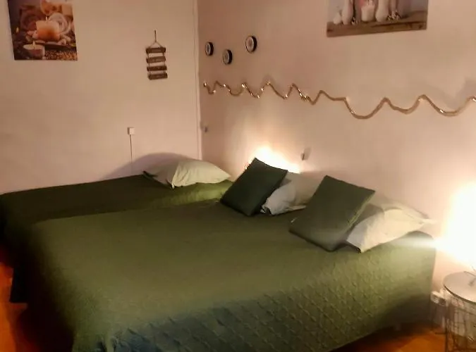 民宿 Cite De Caractere Medieval 萨尔特河畔弗莱斯涅