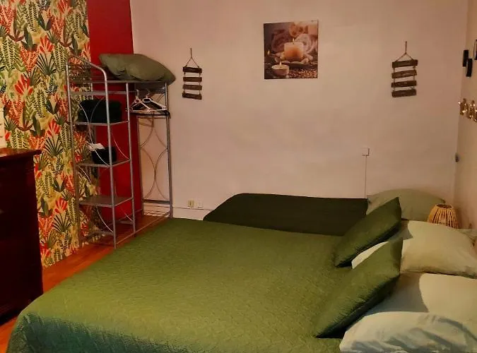 Cite De Caractere Medieval 萨尔特河畔弗莱斯涅